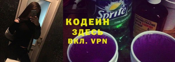 молекула духа Майский