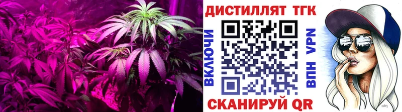 ТГК гашишное масло Ядрин