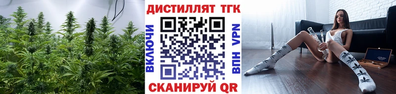 Купить где  Ядрин  ТГК Wax 